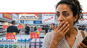 צרכנית מופתעת מהתייקרות בסל הקניות מה-1 במאי של מוצרי החלב שבפיקוח יעלו ב-1 אחוז | עיבוד: Gemini Google | עיבוד צילום: שולי סונגו©