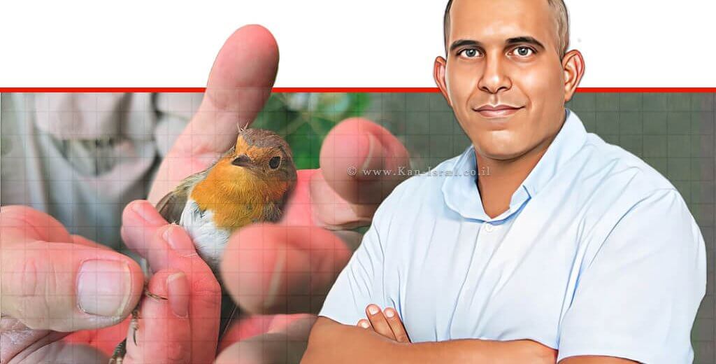 משה אחרק, מנהל יחידת הפיצו"ח ברקע איש רשות הטבע והגנים, עם ציפור ביבנה | עיבוד: שולי סונגו ©