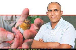 משה אחרק, מנהל יחידת הפיצו"ח ברקע איש רשות הטבע והגנים, עם ציפור ביבנה | עיבוד: שולי סונגו ©