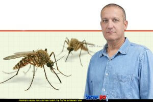 משה ג’רבי, מנהל אגף שפ"ע (שיפור פני העיר), של עיריית חדרה רקע יתושים | ai Capilot | עיצוב: שולי סונגו©