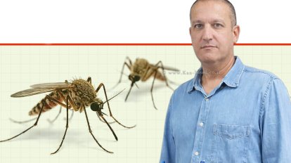 משה ג’רבי, מנהל אגף שפ"ע (שיפור פני העיר), של עיריית חדרה רקע יתושים | ai Capilot | עיצוב: שולי סונגו©