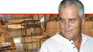 ד"ר רם כץ, רופא ראשי לבריאות העוף בשירותים הווטרינריים של משרד החקלאות. ברקע, המבנה הלא-מקורר בפקיעין החדשה שבו ביצים מסוכנות נחשפו לציבור | עיבוד: Gemini Google | עיבוד צילום: שולי סונגו©