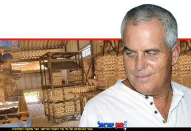 ד"ר רם כץ, רופא ראשי לבריאות העוף בשירותים הווטרינריים של משרד החקלאות. ברקע, המבנה הלא-מקורר בפקיעין החדשה שבו ביצים מסוכנות נחשפו לציבור | עיבוד: Gemini Google | עיבוד צילום: שולי סונגו©