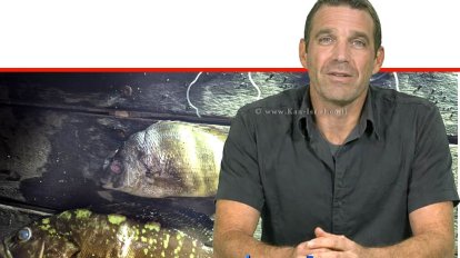 גיא רובינשטיין, מנהל אגף הדיג במשרד החקלאות ברקע: דגי דקרים "לוקוסים" שנלכדו לא כחוק | עיבוד ai :Capilot | עיצוב: שולי סונגו©