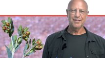 הבוטנאי ד"ר אורי פרגמן-ספיר מתעד לראשונה את פריחתו של צמח נדיר ביותר, הדונגית הקטנה, בשמורת הטבע הר החרמון | עיצוב: הדמייה AI | שולי סונגו©