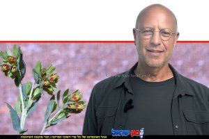 הבוטנאי ד"ר אורי פרגמן-ספיר מתעד לראשונה את פריחתו של צמח נדיר ביותר, הדונגית הקטנה, בשמורת הטבע הר החרמון | עיצוב: הדמייה AI | שולי סונגו©