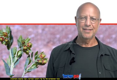 הבוטנאי ד"ר אורי פרגמן-ספיר מתעד לראשונה את פריחתו של צמח נדיר ביותר, הדונגית הקטנה, בשמורת הטבע הר החרמון | עיצוב: הדמייה AI | שולי סונגו©