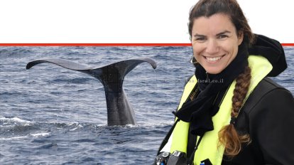 יאלי מבורך חוקרת ראשתנים ומובילת פרויקט לווייתנאי הים העמוק 'חקר הים' של אוניברסיטת חיפה ברקע: זנב לוויתני ראשתן | צילום: זנב לווייתן, מיה אלסר, דלפיס | עיצוב: הדמייה AI | שולי סונגו©