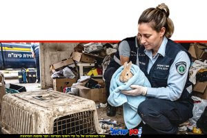 פקחית יחידת האכיפה והחקירות של משרד החקלאות והחי מחלצת ארנב | עיבוד: Gemini Google | עיצוב: שולי סונגו©