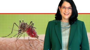 פרופ' סיגל סדצקי, ראש חטיבת בריאות הציבור במשרד הבריאות ברקע קדחת מערב הנילוס | עיבוד: Gemini Google | עיצוב: שולי סונגו©