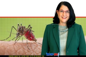 פרופ' סיגל סדצקי, ראש חטיבת בריאות הציבור במשרד הבריאות ברקע קדחת מערב הנילוס | עיבוד: Gemini Google | עיצוב: שולי סונגו©
