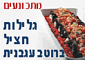 גלילות חציל ברוטב עגבנית