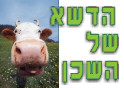הדשא של השכן