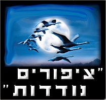 ציפורים נודדות