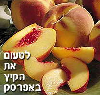 אפרסק - לטעום את הקיץ - מוסף מיוחד