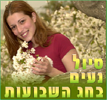 טיולי חג וחופש באזור