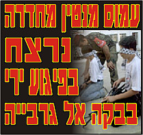 פיגוע ירי בבקעה אל-גרבייה; עובד בזק נהרג; היורה נער פלשתיני בן 15 מהשטחים נלכד