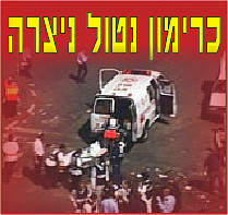 17 שנות מאסר לתושב אום אל פאחם, שסייע למחבלים לתכנן פיגועים