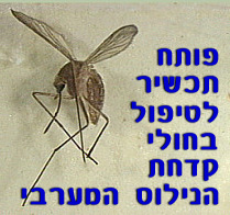 באוניברסיטת בן גוריון פותח תכשיר לטיפול בחולי קדחת הנילוס המערבי