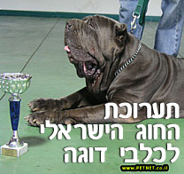תערוכת החוג הישראלי לכלבי דוגה בחוות הכלבים כפר הס