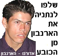 שלפו לנתניה את הארנבון מן הכובע