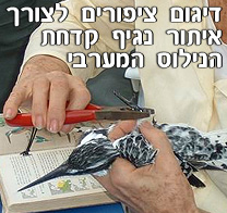 פרוייקט דיגום ציפורים לצורך איתור נגיף קדחת הנילוס המערבי