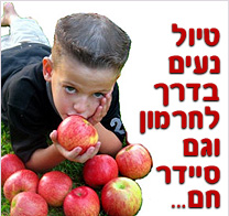 סיידר חם למבקרים במרכז המבקרים 