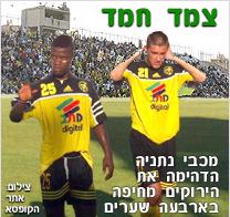 צמד חמד