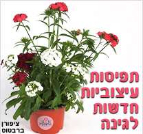 תאגיד משתלות חישתיל הציג את מגמות העיצוב בגינה לשנת 2004