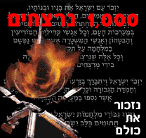 קצין צה