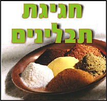 בישול עם צמחי תבלין שתגדלו לבד – חוויה אחרת