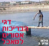 משרד הבריאות הורה על הסרה מיידית מהמדפים וכן על איסור השיווק ועל השמדה של כל דגי הבריכות המשווקים בישראל