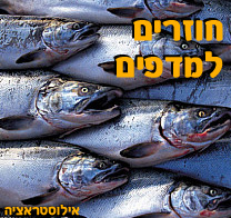 הדגים חוזרים למדפים