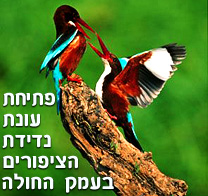 פתיחת עונת נדידת הציפורים בעמק החולה