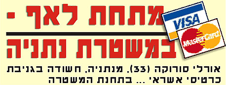 פלילי - מתחת לאף