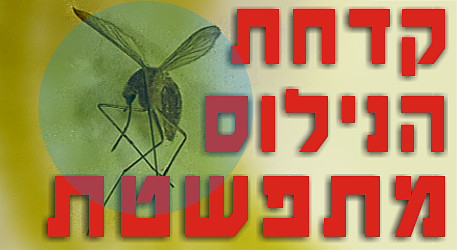 יתושי קדחת הנילוס בפרדס חנה