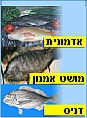 הביס והכיס 18.2.03: קמפיין הדג המאושר