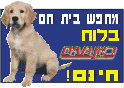 לוח נעים - הכנה לגולשים