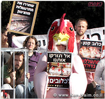 ועדת החינוך של הכנסת, סירבה לאשר לפי שעה את הקמת כלובי התרנגולות