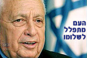 אריאל שרון רה