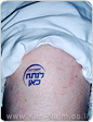 יוזמה מקורית ב