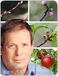 מזכ
