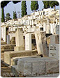 משרד הבריאות: החל השלב הראשון להטמנת רקמות