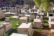 בבית העלמין בשכונת בן-ציון בנתניה; ילדים משחקים 
