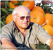ארגון מגדלי ההדרים: תנופת נטיעת פרדסים, 13 אלף דונם של עצי הדר ניטעו ברחבי הארץ