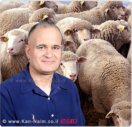 יו