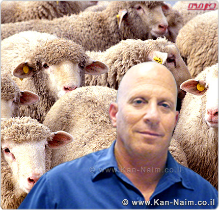 משרד החקלאות נלחם במחלת ה’ברוצלוזיס’, הפוגעת בבני אדם ובבעלי חיים