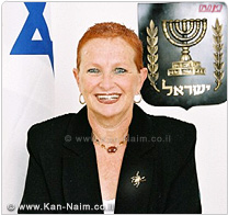ישראלי, אשר נסע למדינת איראן, ללא היתר הרשויות קיבל 4 חודשי עבודות שירות לאזרח