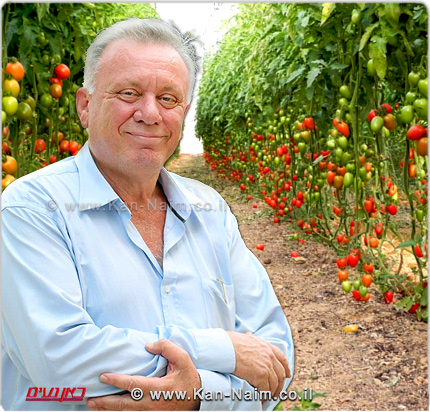 איתן ברושי: על המדינה לבסס ’רשת ביטחון ליצוא חקלאות’ כדי למנוע המשבר הבא איתן ברושי: על המדינה לבסס ’רשת ביטחון ליצוא חקלאות’ כדי למנוע המשבר הבא