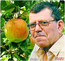 ארגון מגדלי הפירות: חקלאי ישראל, מקווים שגשמי הברכה ימנעו קיצוץ נוסף במכסת המים